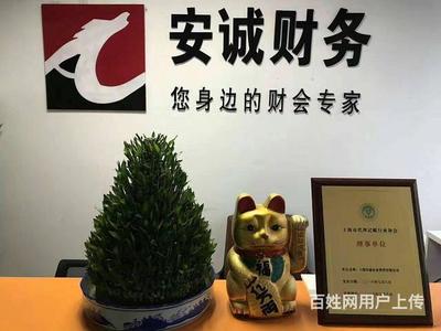 专业赋能，稳健前行——杨浦区企业财务服务首选安诚财务王会计